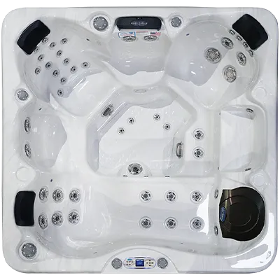 Avalon EC-849L hot tubs for sale in Millvale