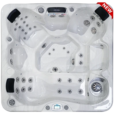 Avalon-X EC-849LX hot tubs for sale in Millvale